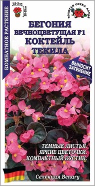 Цветы Бегония вечноцветущая F1 Текила ЦВ/П (СОТКА) 5шт комнатное 15-20см Цветы Бегония вечноцветущая F1 Текила ЦВ/П (СОТКА) 5шт комнатное 15-20см