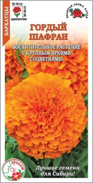 Цветы Бархатцы Гордый Шафран ЦВ/П (СОТКА) 0,2гр однолетник прямостоячие 80-90см Цветы Бархатцы Гордый Шафран ЦВ/П (СОТКА) 0,2гр однолетник прямостоячие 80-90см