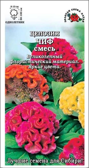 Цветы Целозия гребенчатая Чиф Смесь ЦВ/П (СОТКА)0,2гр однолетник сухоцвет до 1м