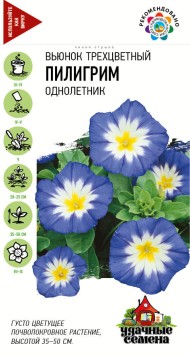 Цветы Вьюнок Пилигрим Трехцветный ЦВ/П (ГАВРИШ) серия УДС 0,5гр однолетник 35-50см