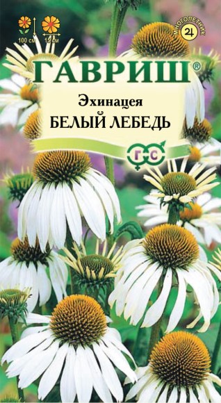 Цветы Эхинацея Белый Лебедь ЦВ/П (ГАВРИШ) 0,1гр многолетник сухоцвет до 1м