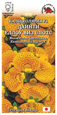 Цветы Кальцеолярия Даинти Еллоу Виз Спотс ЦВ/П (СОТКА) 5шт комнатное 15см