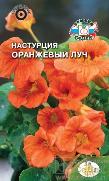 Цветы Настурция Оранжевый Луч ЦВ/П (СЕДЕК) однолетник до 1,5м