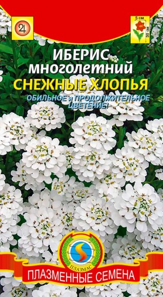 Цветы Иберис Снежные хлопья (ЦВ/П (ПЛАЗМА) многолетник 30см