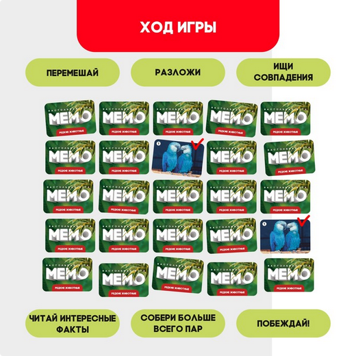 Игра Мемо Редкие животные Арт-9491134