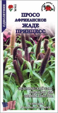 Цветы Просо Африкан Жаде Принцесс ЦВ/П (СОТКА) 3шт однолетник 60-75см