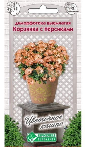 Цветы Диморфотека Корзинка с персиками ЦВ/П (ЕС) 0,2гр однолетник 30см Цветы Диморфотека Корзинка с персиками ЦВ/П (ЕС) 0,2гр однолетник 30см
