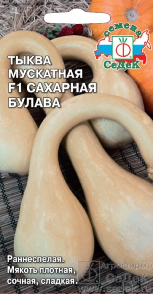 Тыква Сахарная Булава F1 ЦВ/П (СЕДЕК) 1гр раннеспелый плетистый