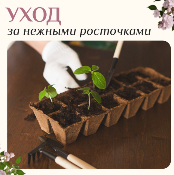 Набор Инвентаря 3 предмета GREENGO Арт-1221431