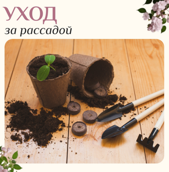 Набор Инвентаря 3 предмета GREENGO Арт-1221431