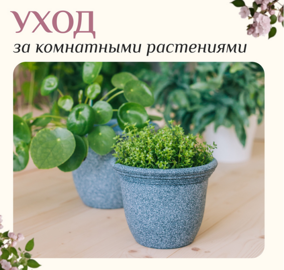 Набор Инвентаря 3 предмета GREENGO Арт-1221431