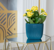 Горшок Фабио 1,95лит Синий 14х14 х14см (с дренажной системой)