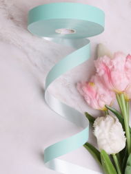 Лента Простая Матовая 2см*100ярд Мятная