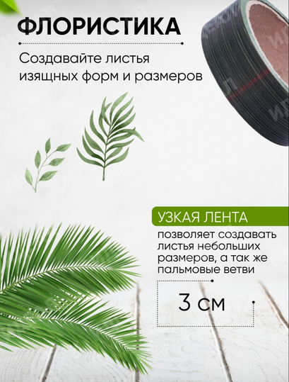 Лента Аспидистр 3см*10ярд РОССИЯ Лента Аспидистр 3см*10ярд РОССИЯ