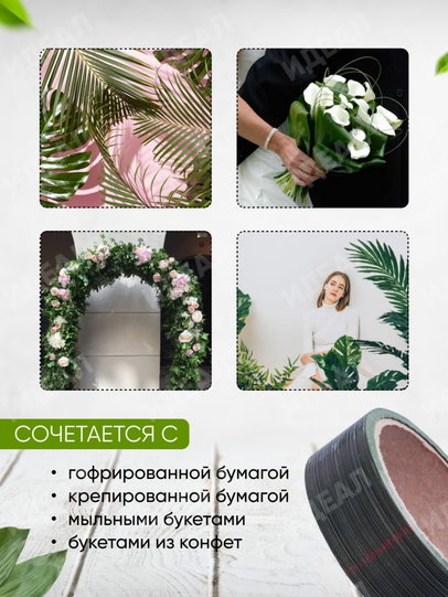 Лента Аспидистр 3см*10ярд РОССИЯ Лента Аспидистр 3см*10ярд РОССИЯ