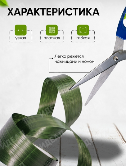 Лента Аспидистр 3см*10ярд РОССИЯ
