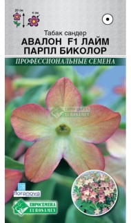 Цветы Табак Душистый Авалон Лайм Парпл Биколор ЦВ/П (ЕС) 10шт однолетник 20см