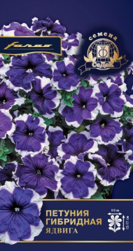 Цветы Петуния Ядвига F1 ЦВ/П (СЕДЕК) 10шт однолетник 15-17см