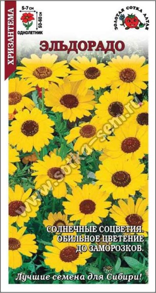 Цветы Хризантема Эльдорадо ЦВ/П (СОТКА) 0,2гр однолетник 50-60см