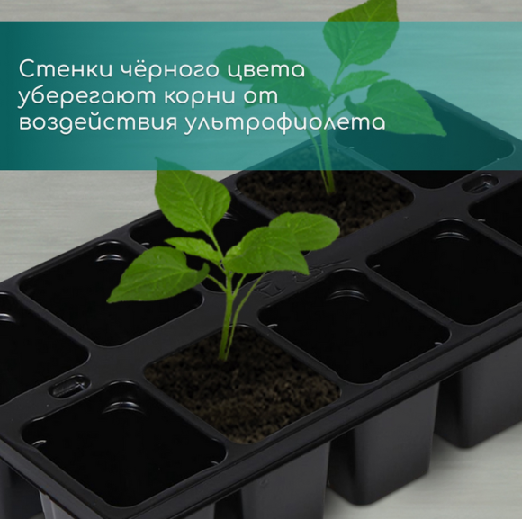 Набор Мини кассет 10 ячеек*10шт 100мл 250*140*50мм