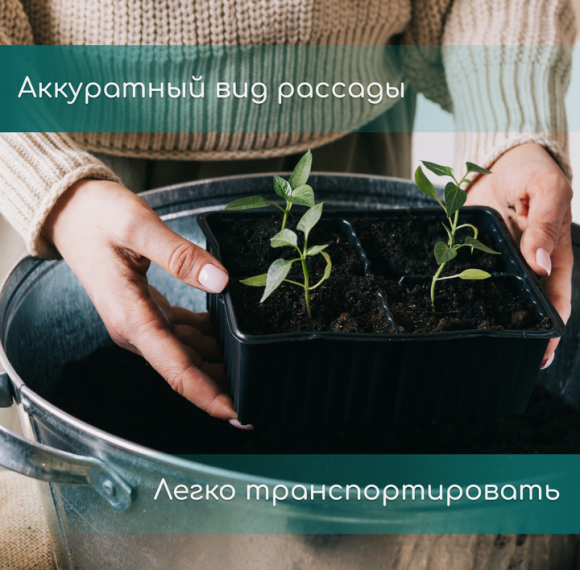 Набор Мини кассет 10 ячеек*10шт 100мл 250*140*50мм