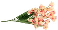 Букет Орхидей 7 веток 81 см Дендробиум Кремово-Красный Букет Орхидей 7 веток 81 см Дендробиум Кремово-Красный