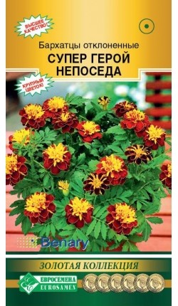 Цветы Бархатцы Супер Герой Непоседа ЦВ/П (ЕС) 15шт однолетник отклоненные 20см