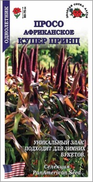 Цветы Просо Африкан Купер Принц ЦВ/П (СОТКА) 3шт однолетник 60-75см