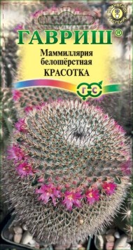 Цветы Маммиллярия Красотка ЦВ/П (ГАВРИШ) 2шт комнатное кактус