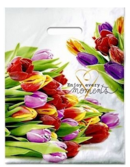 Сумочка пакет п/э 310*400мм Этюд Арт-40279