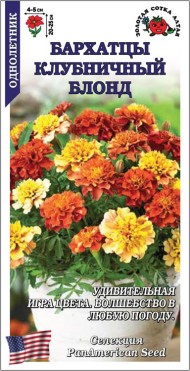 Цветы Бархатцы Клубничный Блонд F1 ЦВ/П (СОТКА) 5шт однолетник 20-25см