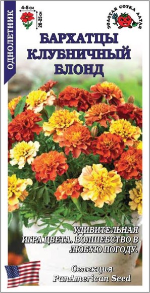 Цветы Бархатцы Клубничный Блонд F1 ЦВ/П (СОТКА) 5шт однолетник 20-25см