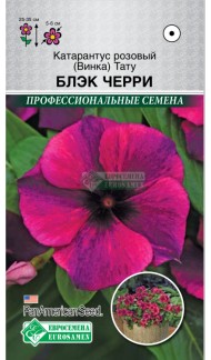 Цветы Катарантус Розовый (Винка) Тату Блэк Черри ЦВ/П (ЕС) 5шт однолетник 25-35см