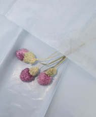 Бумага листами Тишью 50*66см Жемчужная Серо-Дымчатая (1уп/10шт) ЦЕНА за лист Бумага листами Тишью 50*66см Жемчужная Серо-Дымчатая (1уп/10шт) ЦЕНА за лист