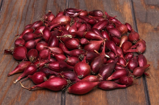 Лук-севок Ред Кармен Лот-15 Мешок (2 группа)