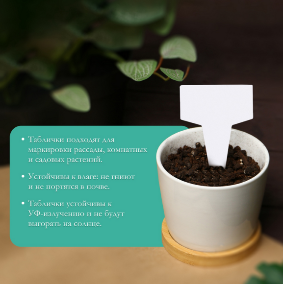 Набор табличек 7см*20шт с маркером Greengo Арт-9682393 Набор табличек 7см*20шт с маркером Greengo Арт-9682393