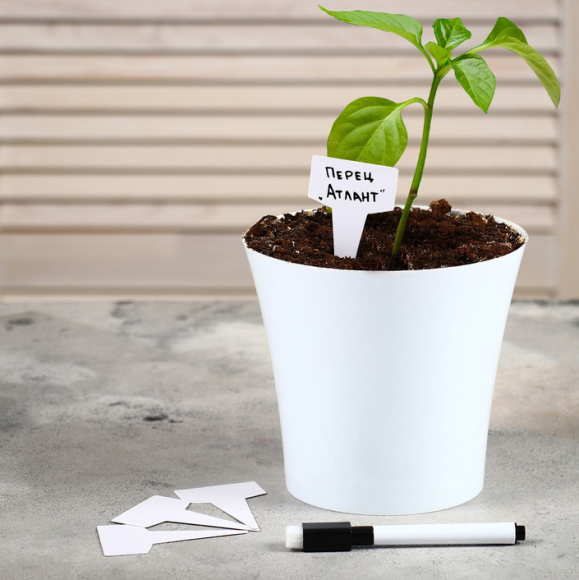 Набор табличек 7см*20шт с маркером Greengo Арт-9682393 Набор табличек 7см*20шт с маркером Greengo Арт-9682393