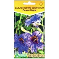 Цветы Сальпиглоссис Синее море выемчатый ЦВ/П (ЕС) 0,02гр однолетник 80см