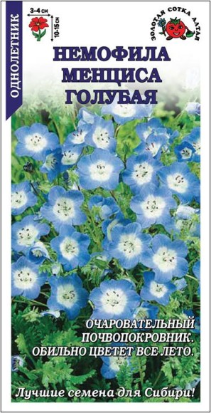 Цветы Немофила Менциса Голубая ЦВ/П (СОТКА)