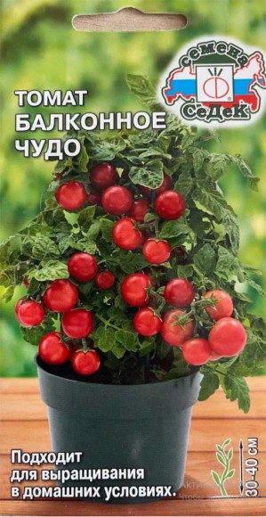 Томат Балконное Чудо ЦВ/П (СЕДЕК) 0,1гр скороспелый до 30-40 см комнатный