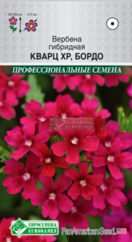 Цветы Вербена Кварц Бордо ЦВ/П (ЕС) 5шт однолетник 20-25см