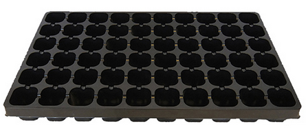 Палета для рассады квадратные 60 ячеек 70мл (520*310мм)