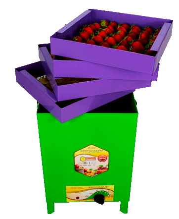 Электросушилка Сухофрукт Арт-В-01 V-20лит (УЗБИ)