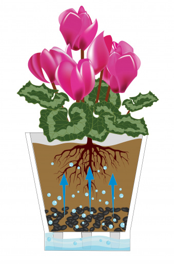 Горшок Лея для орхидей 5лит Прозрачный М-7885 Горшок Лея для орхидей 5лит Прозрачный М-7885