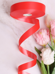 Лента Простая Матовая 2см*100ярд Красная