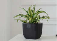 Горшок Фабио 4,7лит Чёрный 19х19х19см (с дренажной системой)