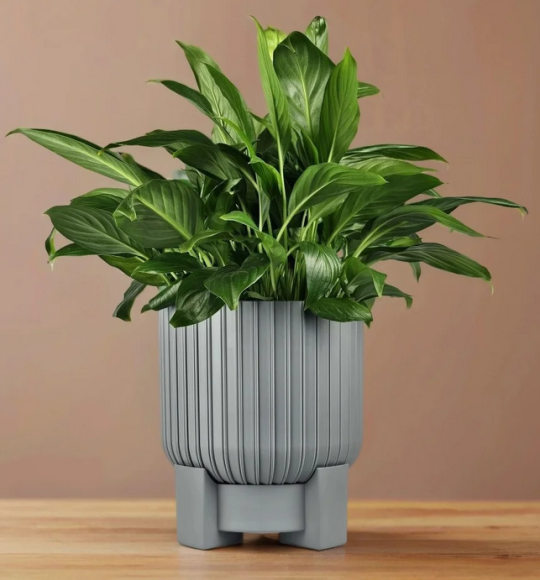 Горшок Торин 3,3лит Серый муссон D-17,5см Горшок Торин 3,3лит Серый муссон D-17,5см