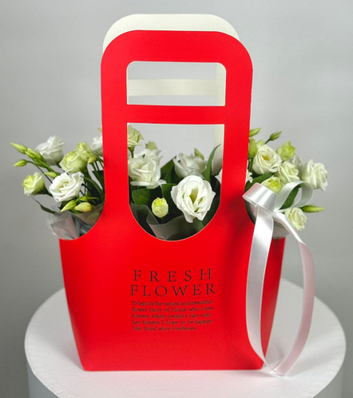 Сумочка для горшечных цветов 220*100*400мм FRESH Красная