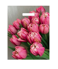 Сумочка пакет п/э 310*400мм Стелла Арт-55119