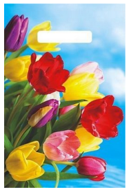 Сумочка пакет п/э 200*300мм Монро Арт-59056 Сумочка пакет п/э 200*300мм Монро Арт-59056